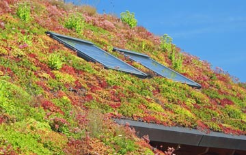 Wash Water living roof systems